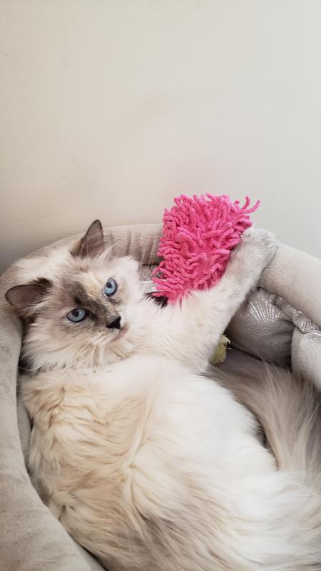 Waiting for more lil'soups