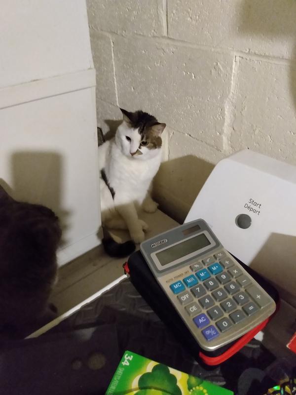 Photo - commentaire&nbsp;7.