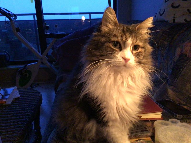 Photo - commentaire&nbsp;3.