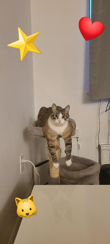 Just hanging around 😻😍🤣