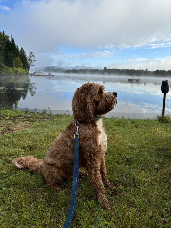 Greatful for this furry one!