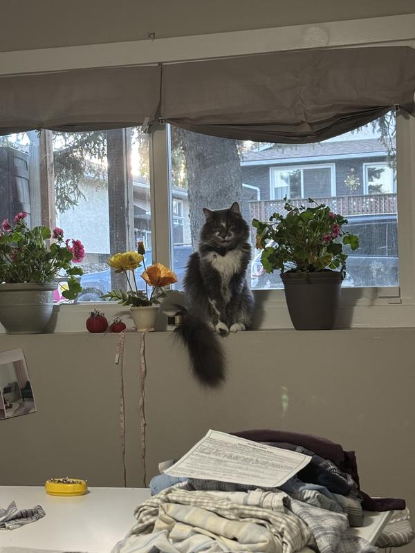 Posing for a picture