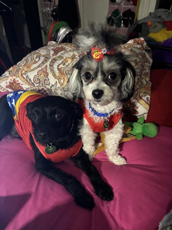 Lizzie and Lobster as Wonder Woman