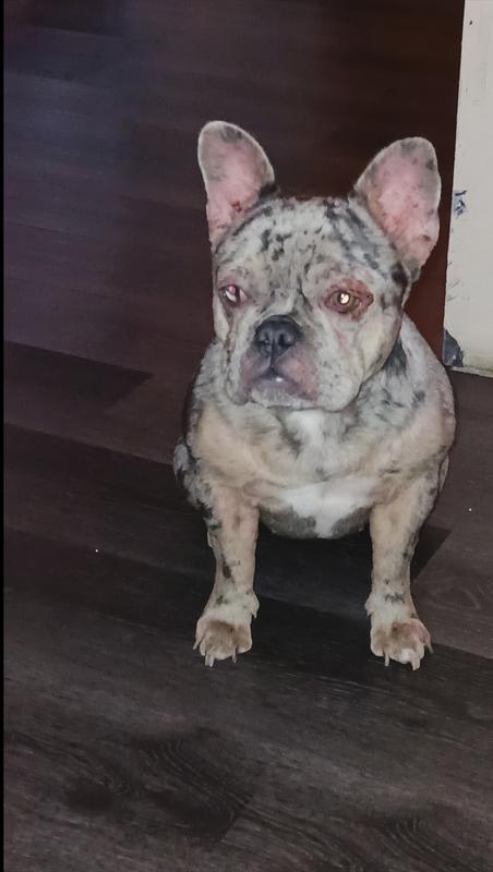 Photo - commentaire 3.