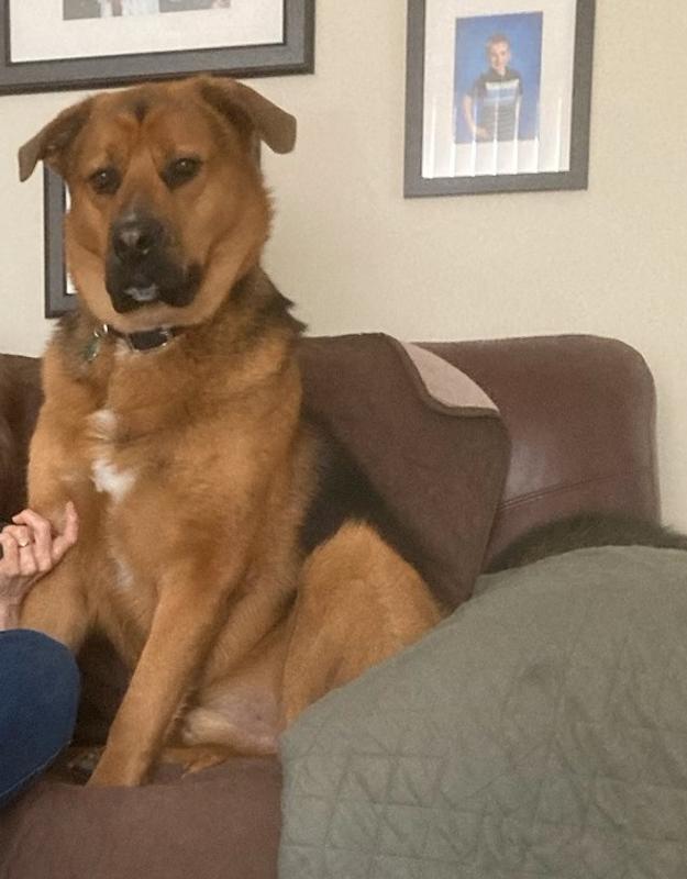 Pepsi is a big boy now