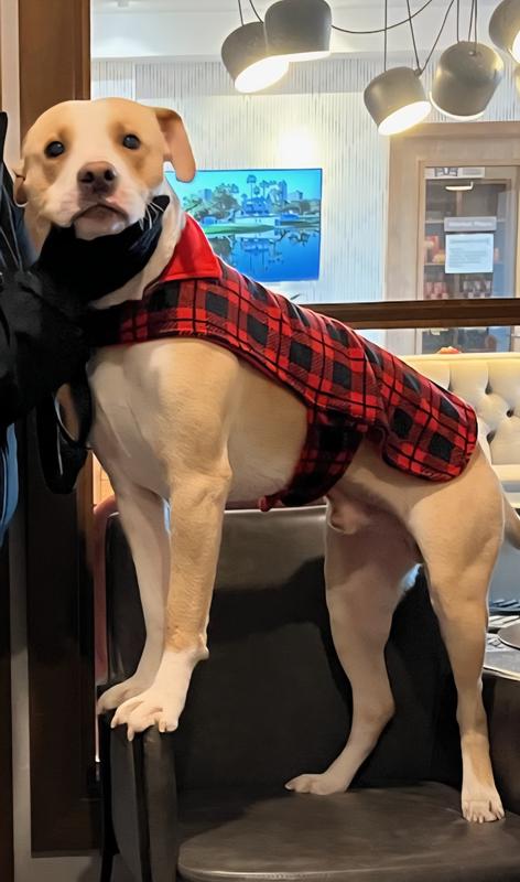 My Sensitive tummy boy Norman