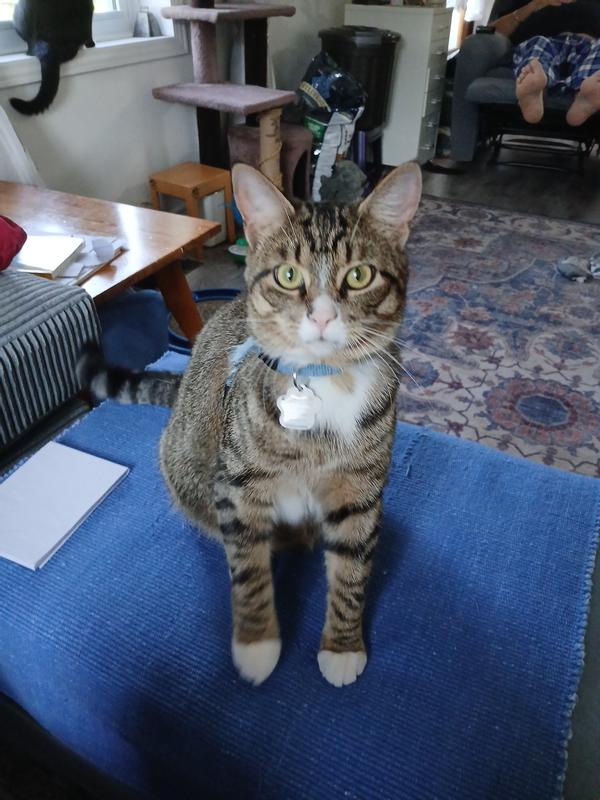 Think I am adorable?