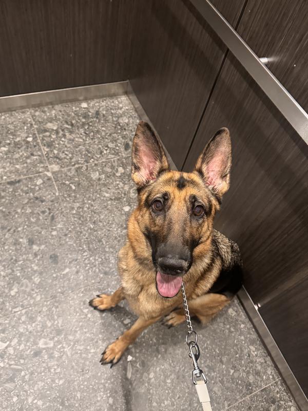 Photo - commentaire 3.