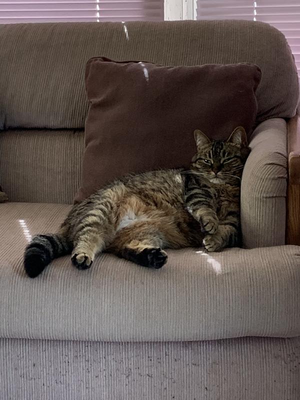 Photo - commentaire&nbsp;1.