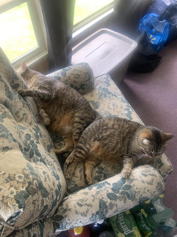 Photo - commentaire&nbsp;6.