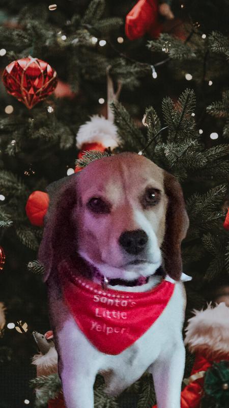 She stole our hearts