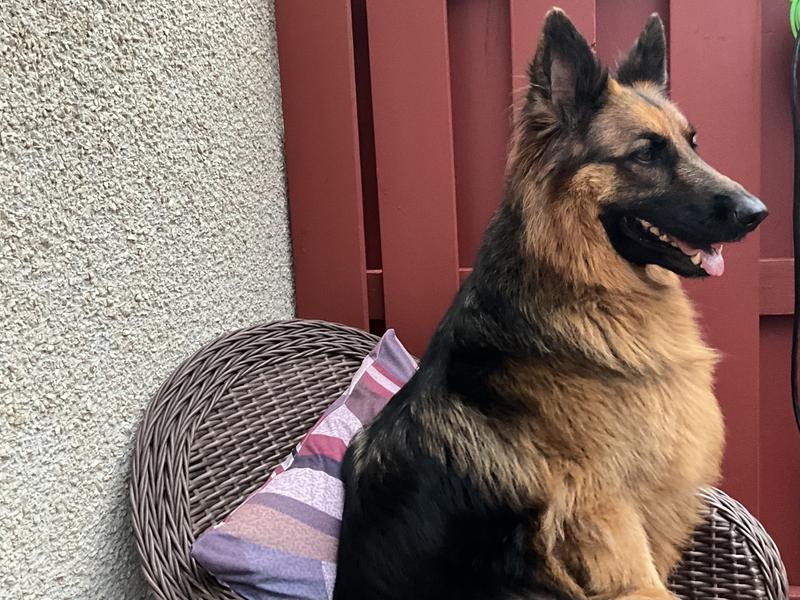 Photo - commentaire&nbsp;3.