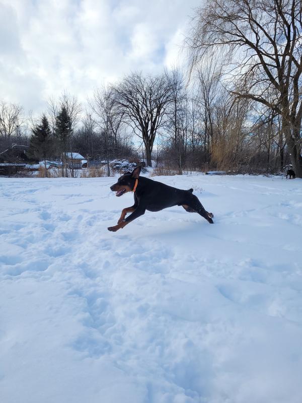 Playing in snow