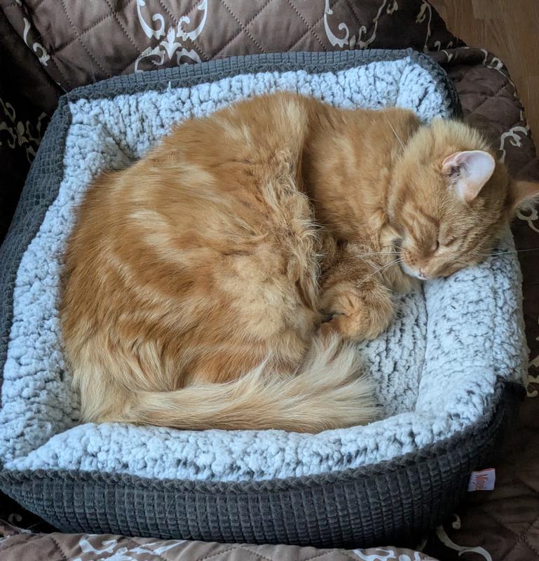 Trying out his new bed