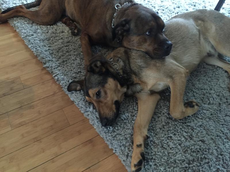 Photo - commentaire&nbsp;1.