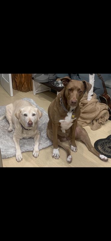 Photo - commentaire 7.