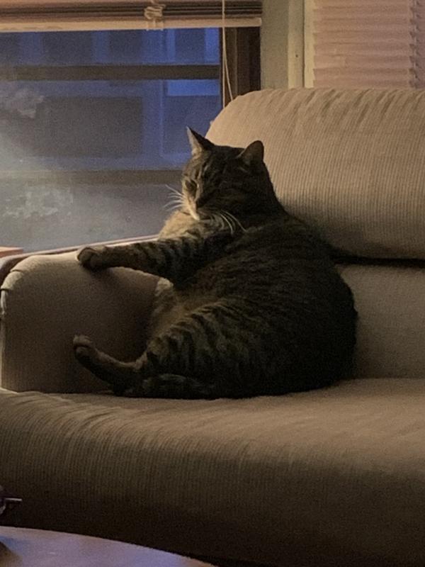 Photo - commentaire&nbsp;3.