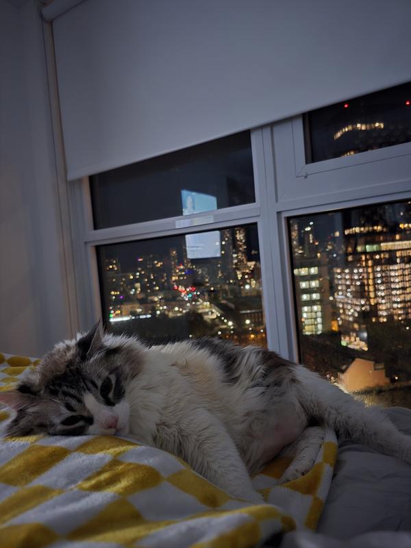 The victim of this diet!