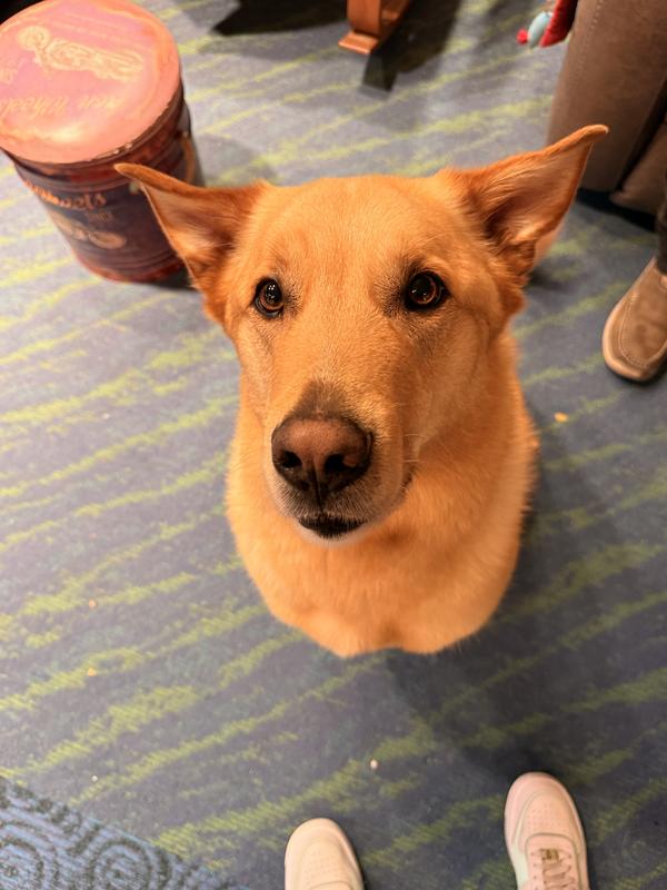 Photo - commentaire&nbsp;4.