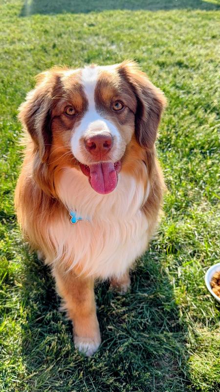 Look mom no more itching!