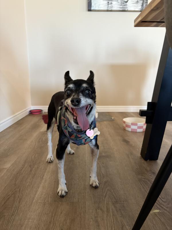 After my walk around the block