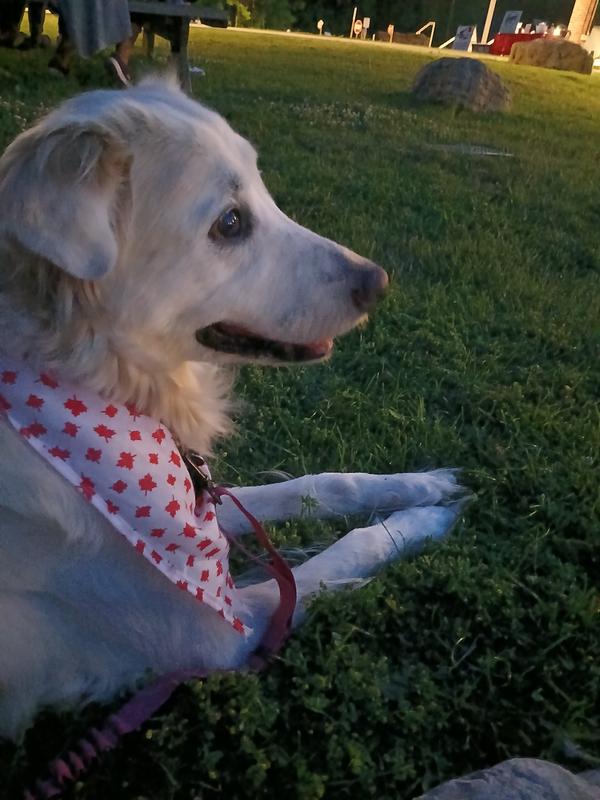 Photo - commentaire&nbsp;3.