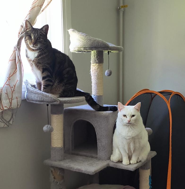 Jaqen H'ghar and Agent Dana Scully