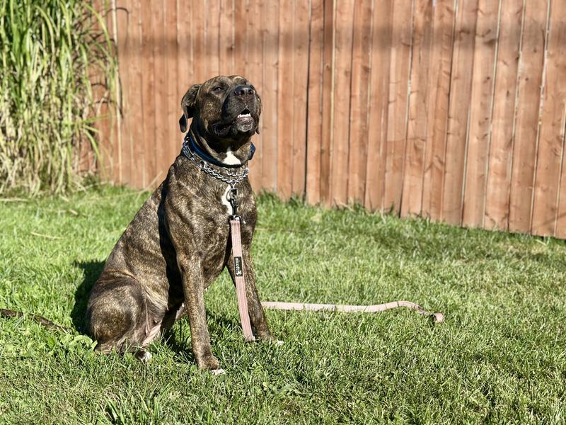 Photo - commentaire 8.