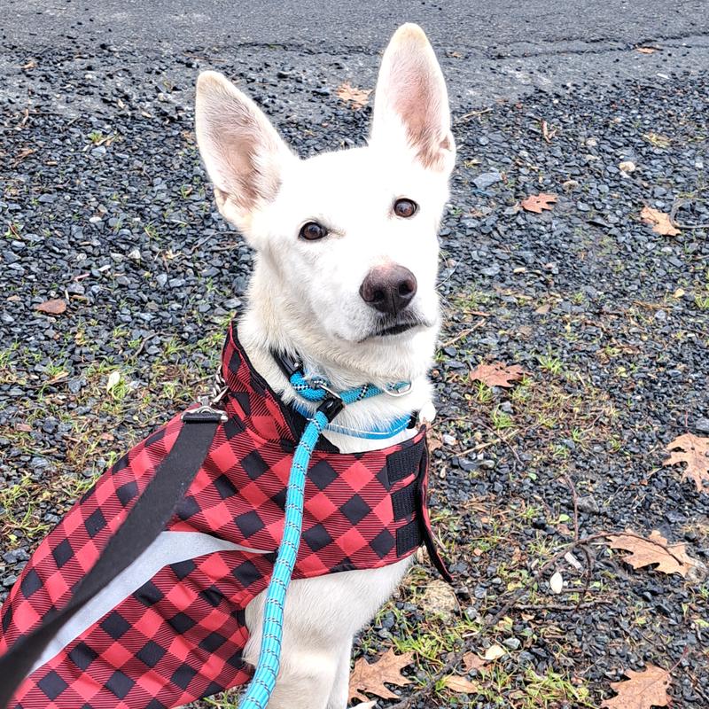 White rain ?? It's Snow Elsa ❄️ 💗