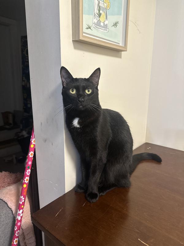 him waiting for dinner LOL