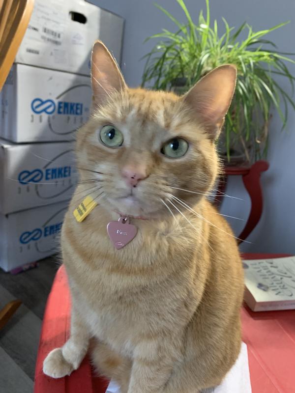 My new pink tag makes my eyes look greener