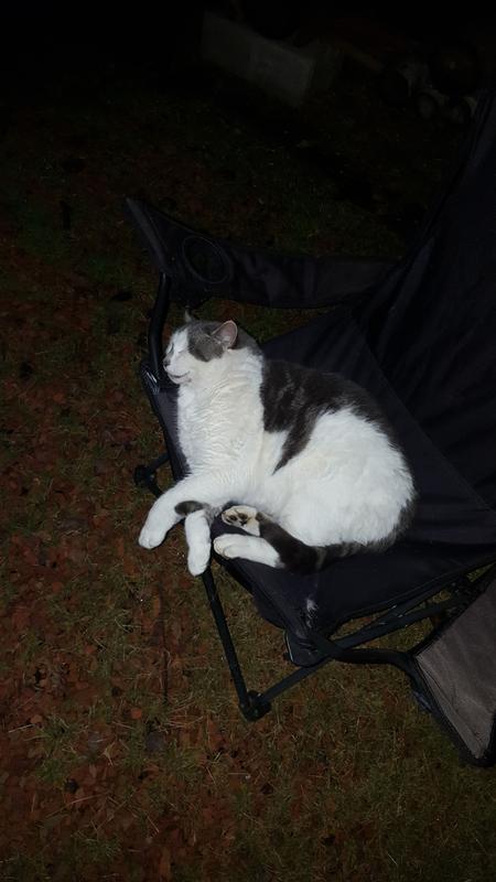 Napping by the fire pit