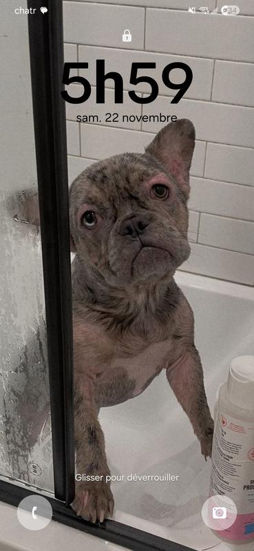 Photo - commentaire 1.