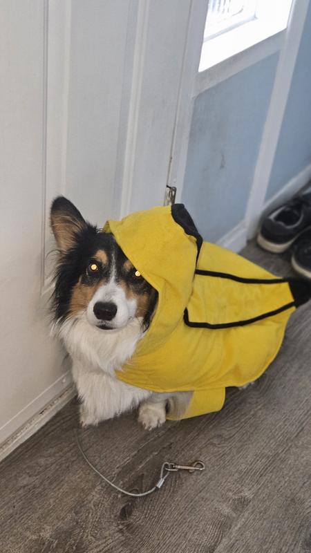 Photo - commentaire&nbsp;3.