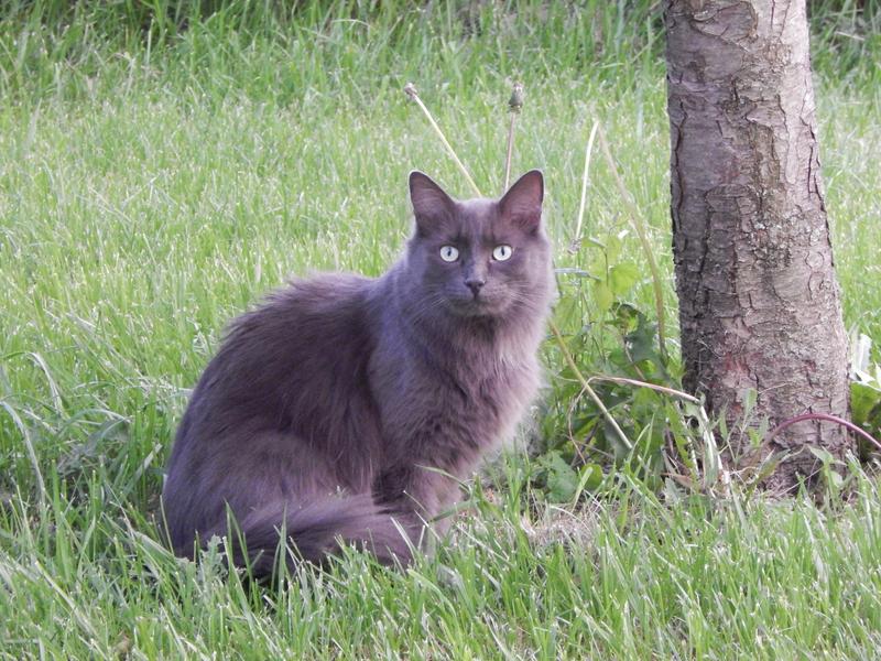 Photo - commentaire 5.