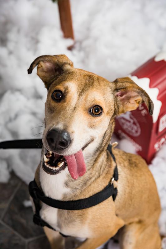 Photo - commentaire 2.