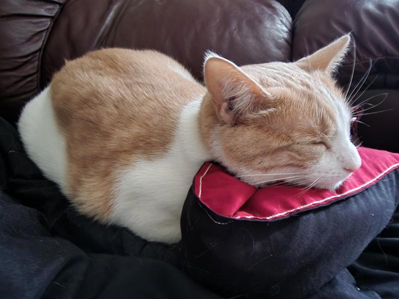 Oh this is just wonderful!