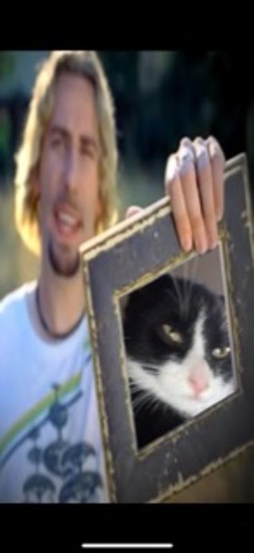 Look at this photograph.