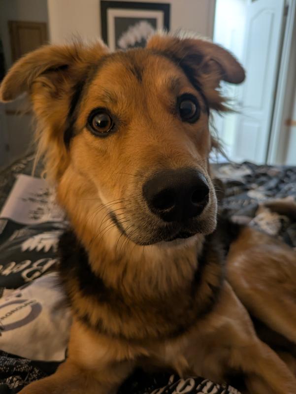 Photo - commentaire 5.