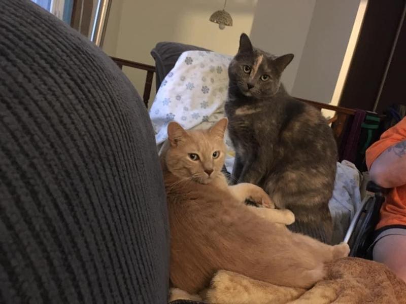 Make sure to catch our good side mom