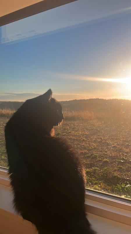 Not under over just the right weight