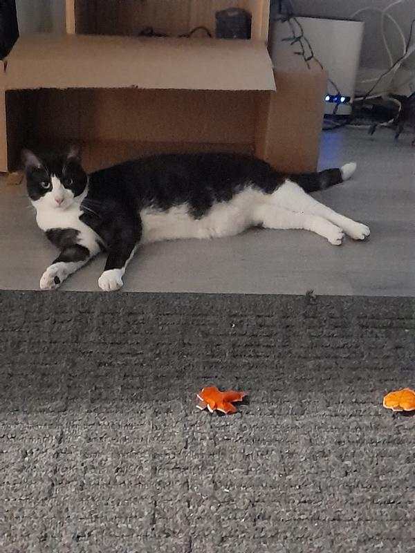 Photo - commentaire 3.