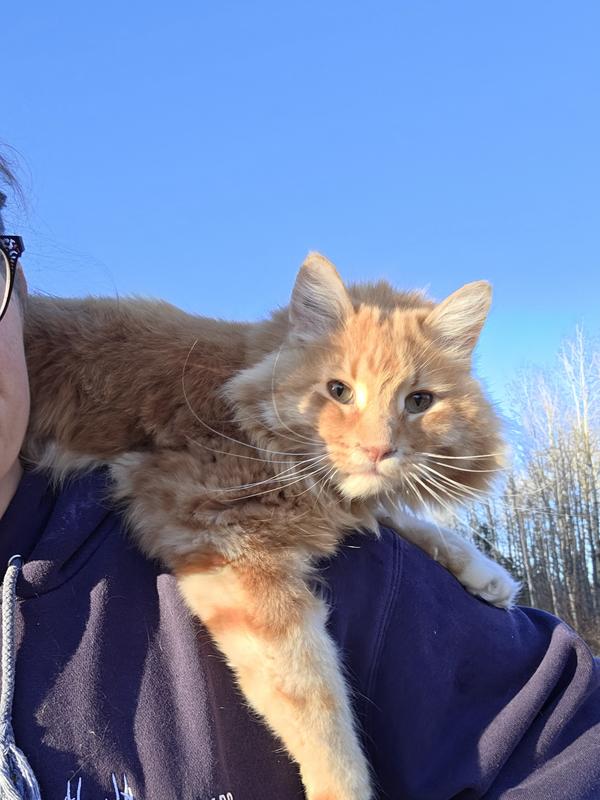 Augustus' favorite spot