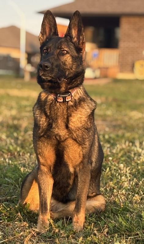 Photo - commentaire&nbsp;7.