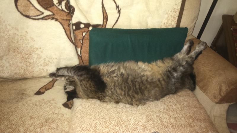 One of 3--Fluffy---so content thanks to  your great products.