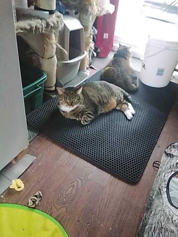 Photo - commentaire&nbsp;3.