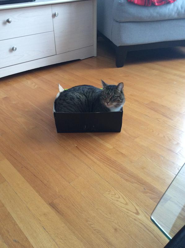 Ma boîte