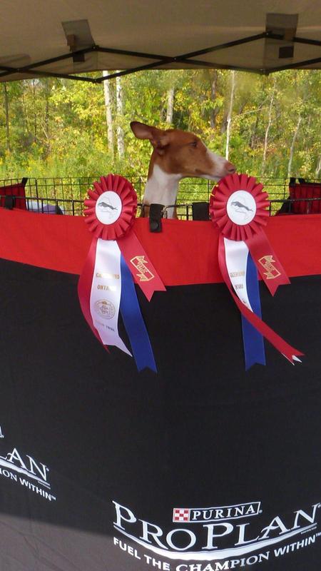 Back to back Best of Breed - Elena