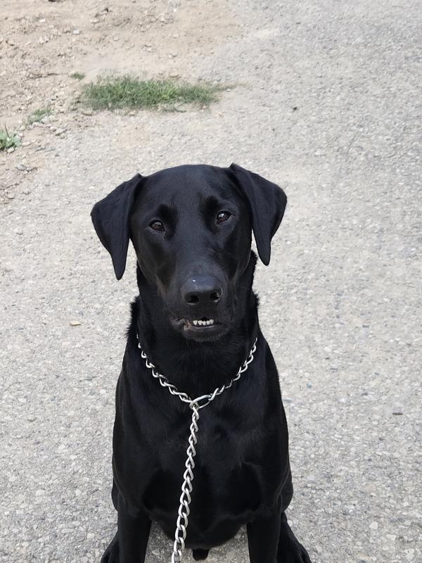 Photo - commentaire&nbsp;1.