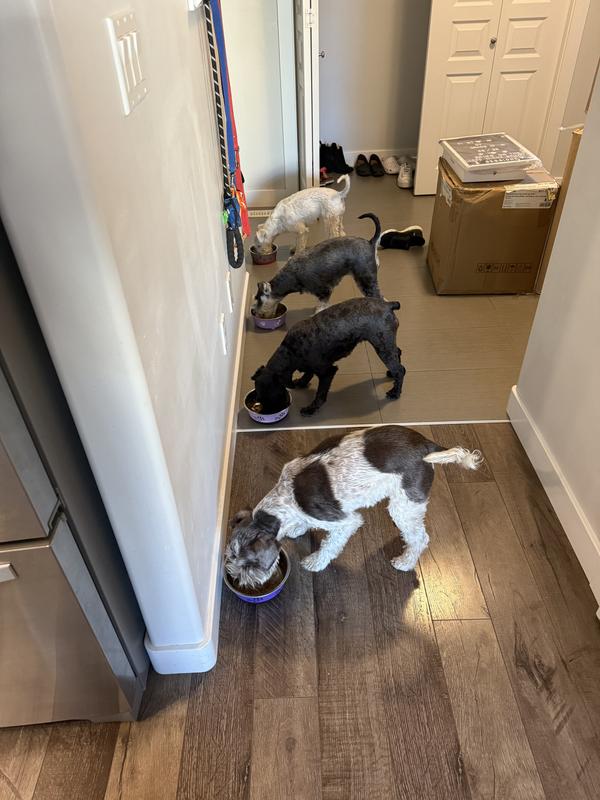 The ladies of the house enjoying their beyond wild!